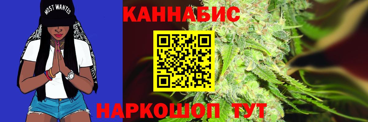 Конопля сатива Тара